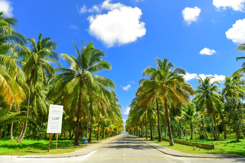 maldives, sun, concrete, sky, clouds, coast, coconut palm tree, plant, daytime, outdoors, daylight, day, sign, tropical climate, computer, sand