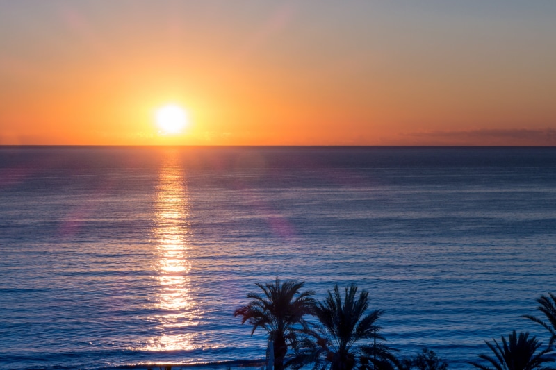 reflection, sunlight, sunrise, ocean, palm trees, no people, tranquil scene, romantic sky, tropical climate, 5K, coast, dusk, mallorca, sun, evening sky