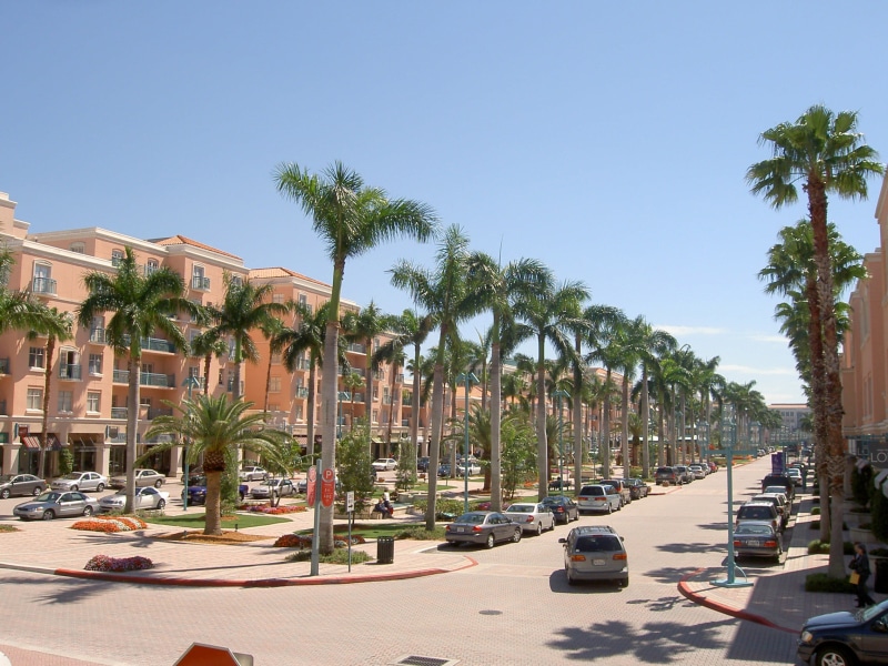 palm Tree, photos, vacations, building exterior, road, town, palm, public domain, clear sky, mode of transportation, outdoors, mizner, street, car, tropical climate