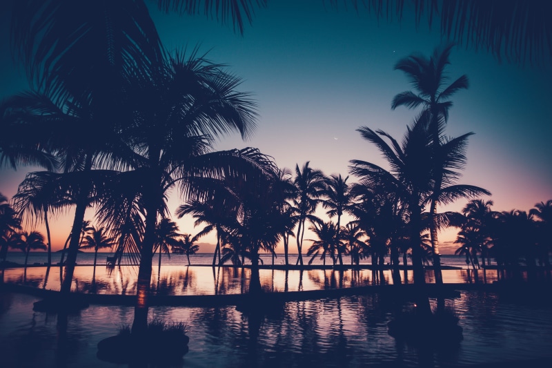 coconut palm tree, photo, horizon, gold, mauritius, tropical climate, no people, swimming pool, reflection, 4K, scenics - nature, sunset, idyllic, coconut
