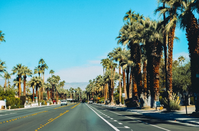 day, dividing line, plam tree, trees, direction, outdoors, asphalt, photo, coconut, gray, sunlight, california, clear, diminishing perspective, the way forward
