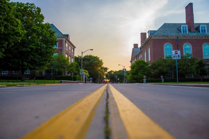 diminishing perspective, building exterior, nature, built structure, city, day, building, marking, houses, plant, sides, road marking, perspective, tree