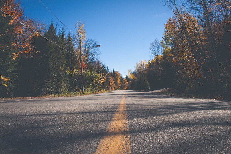 sign, gravel, perspective, growth, trees, day, dirt road, beauty in nature, tree, plant, shadow, transportation, surface level, diminishing perspective
