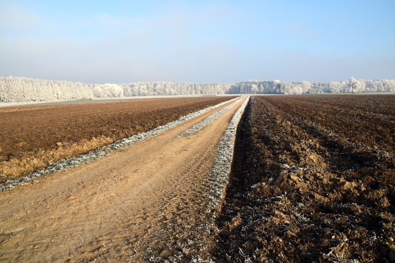 landscape, meditation, scenics - nature, plowed Field, agriculture, semi-arid, the way forward, dirt road, icy future, background, away, no people, direction