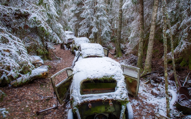 footpath, plant, nature, day, car, no people, snow, green, scenics - nature, outdoors, coupe, non-urban scene, 1080P, classic, tranquil scene, tree, forest