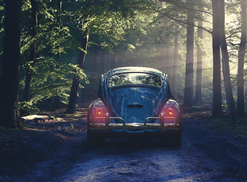 travel, sunlight, motor vehicle, land, transportation, day, no people, 8K, stationary, land vehicle, plant, volkswagen, woodland, nature, mode of transportation