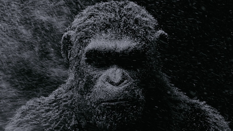 War for the Planet of the Apes, movies, Planet of the Apes, Andy Serkis, Caesar, 1080P