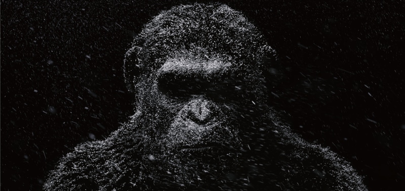 War for the Planet of the Apes, 4K, 2017 Movies, 4K, Caesar