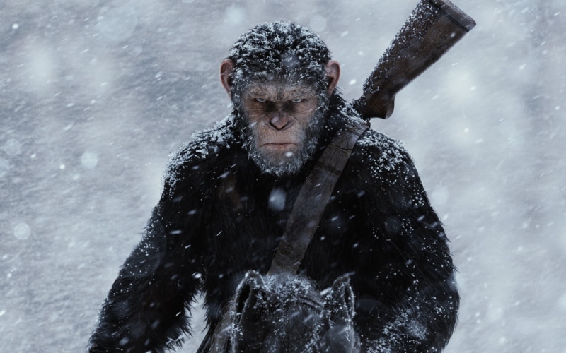 war, people, snowing, extreme weather, hollywood, focus on foreground, winter, frozen, Hollywood Movies, monkey, outdoors, ice, Movies, animal wildlife