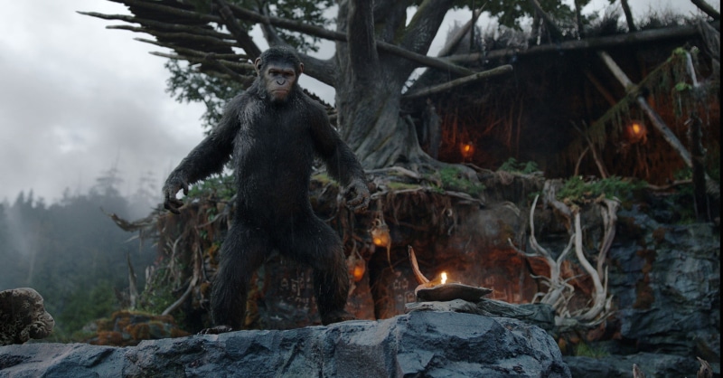 revolution, cesar, planet, rise, Planet of the Apes, The Revolution, apes, Caesar, 1080P, Dawn of the Planet of the Apes