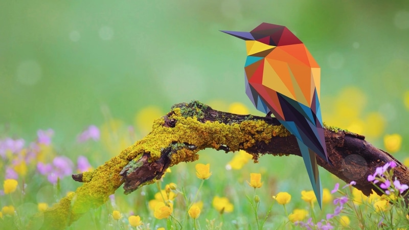 plant, growth, day, green color, yellow, beauty in nature, red, abstract, flowering plant, animal themes, multi colored, 1080P, mosaic, painting, no people