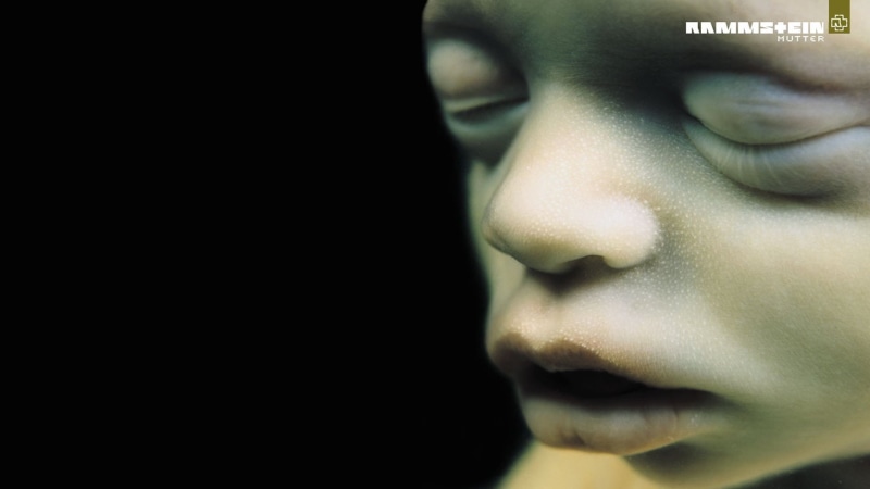 Baby, Band (Music), Music, Germany, Rammstein, Child, 1080P