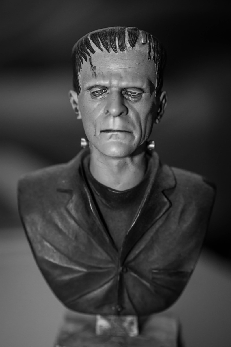 frankenstein, Man, Monster, childhood, figurine, waist up, looking at camera, focus on foreground, men, front view, portrait, Statue, grayscale, indoors