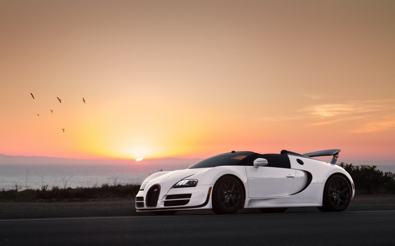 sports car, birds, sky, white cars, mode of transportation, land vehicle, no people, car, outdoors, Bugatti Veyron Super Sport, luxury, vertebrate, cloud - sky