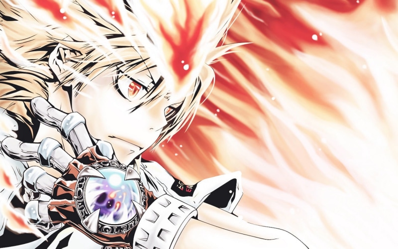 human representation, illuminated, Sawada Tsunayoshi, indoors, reflection, still life, tsunayoshi, 720P, sunlight, red, decoration, full frame, backgrounds