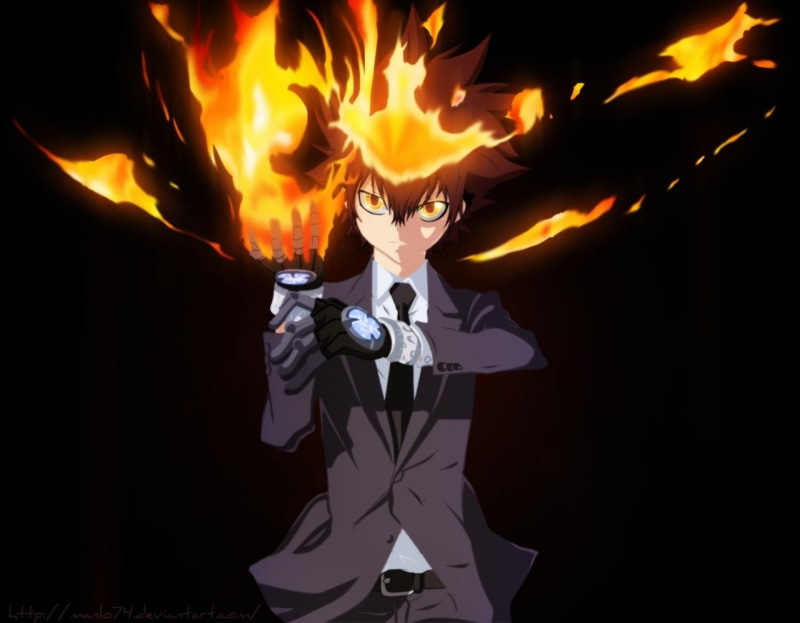 Katekyō Hitman Reborn!, 1080P, Tsunayoshi Sawada, Anime