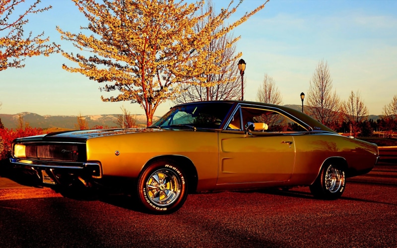 front View, transportation, mode of transportation, city, brown, street, red, luxury, outdoors, 1968, american Culture, travel, the sky, tree, 1080P, engine