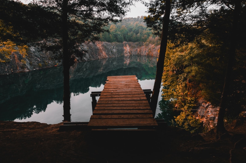 wooden, beauty In Nature, nature, scenics - nature, plant, scenics, old, 2K, brown, day, tranquility, river, trees, park - Man Made Space, reflection