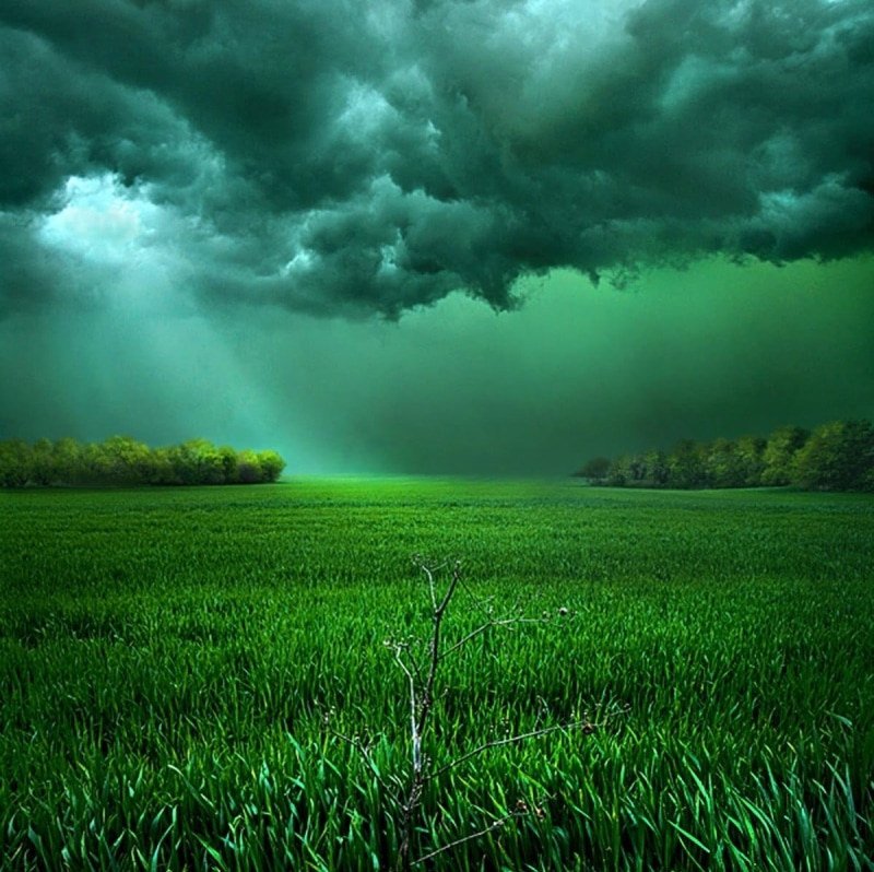 land, scenics - nature, green color, beauty in nature, power in nature, cloud - sky, grass, torrential rain, sky, no people, shrubs, clouds, green, environment