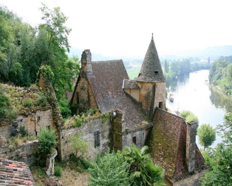 overgrown, 720P, river, house