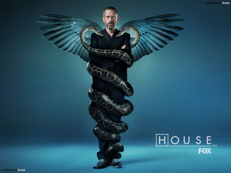 full length, colored background, 720P, one person, tv, bird, holding, blue, Gregory House, hose, looking at camera, indoors, animal wing, fox, front view