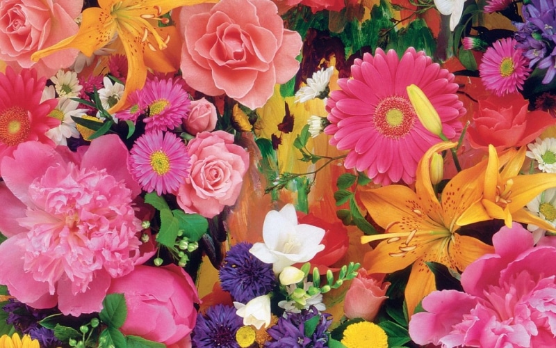 1080P, sensitive, all flowers, cute, pink, purple, together, group, pretty, love, cool, meant, 3d, light, innocent