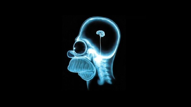 close-up, studio shot, x-ray image, medical exam, copy space, anatomy, 1080P, healthcare and medicine, the simpsons homer simpson, body part, human body part