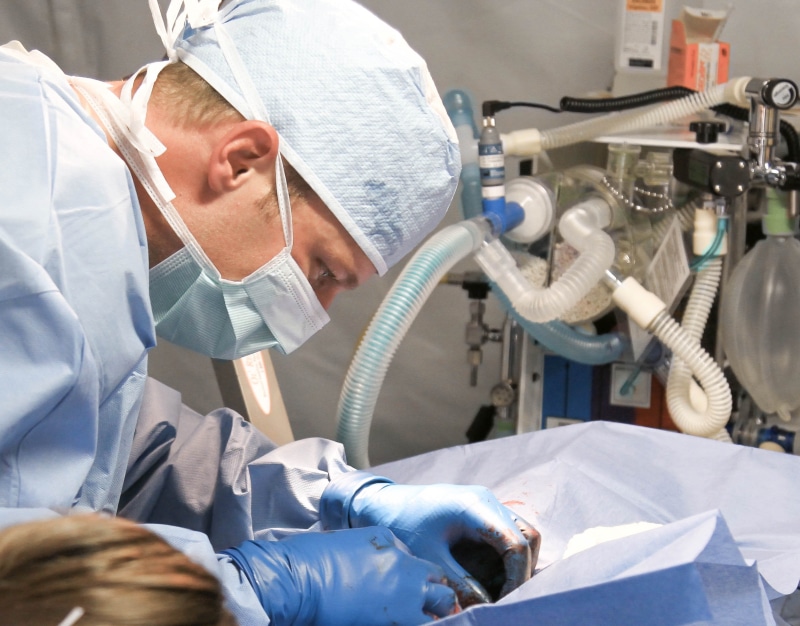 medical exam, medical, hygiene, medical equipment, scrubs, healthcare, care, emergency, doctor, oxygen, patient, professional occupation, healthcare and medicine