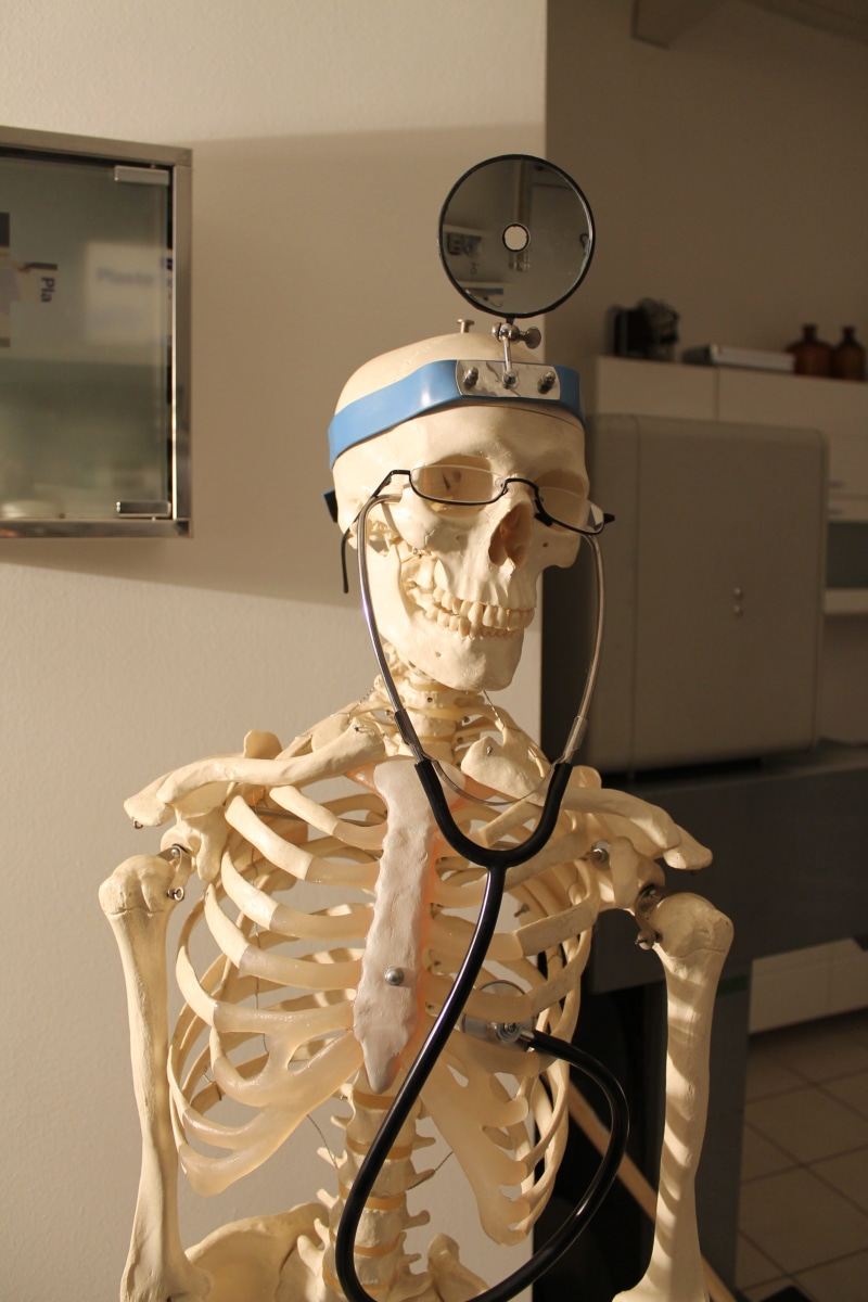 biology, body part, anatomy, technology, 4K, hospital, human skeleton, skeleton, education, medical equipment, no people, fun, science, bone, doctor, medical procedure