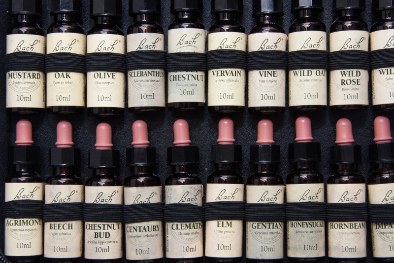 large group of objects, original, edward bach, wine bottle, background, flower essences, shelf, full frame, strong dilution, alternative medical, homeopathy