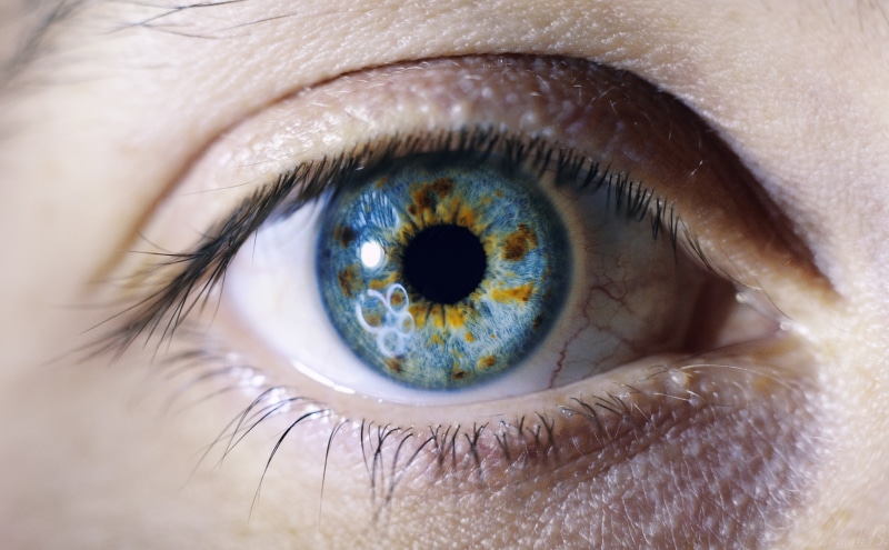 5K, hayk, Closeup, Aero, b, Beautiful, eye, Macro, blueeyes, armenia