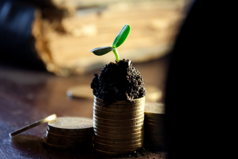 2K, plant, idea, day, dividends, rostock, earn, indoors, deposit, plant part, profit, pile, stack, income, finance, desktop, money, currency, investment