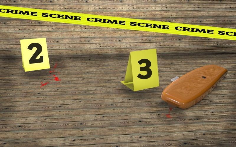 evidence, investigation, western script, number, indoors, text, close-up, assassination attempt, still life, offence, communication, blood, did, 2K, capital letter