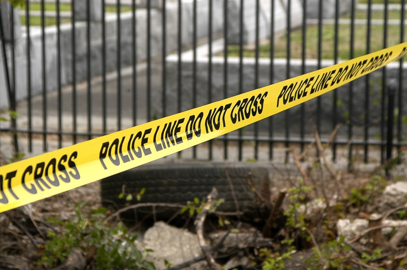 police line, sign, warning sign, message, nature, safety, outdoors, communication, boundary, fence, day, security, yellow, crime scene, tape, close-up