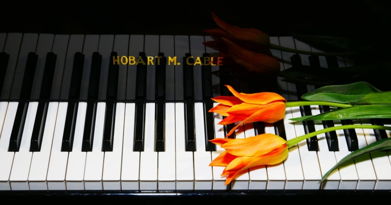 4K, lifestyle, music, technology, vulnerability, marimba, piano key, keyboard instrument, musical equipment, orange color, happiness, white, outdoors
