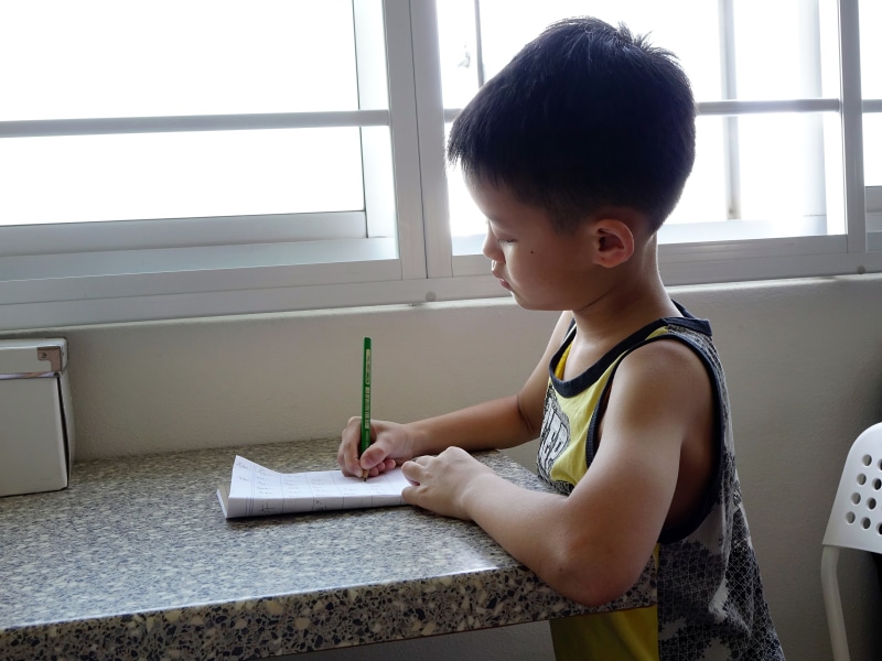 boys, holding, learning, window, offspring, side view, home interior, table, student, childhood, casual clothing, day, home, education, pencil, indoors
