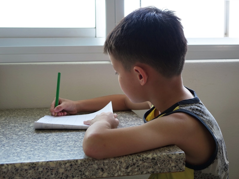 boy, black, learning, top, chinese, green, innocence, headshot, studying, school supplies, paper, homework, student, education, indoors, home interior