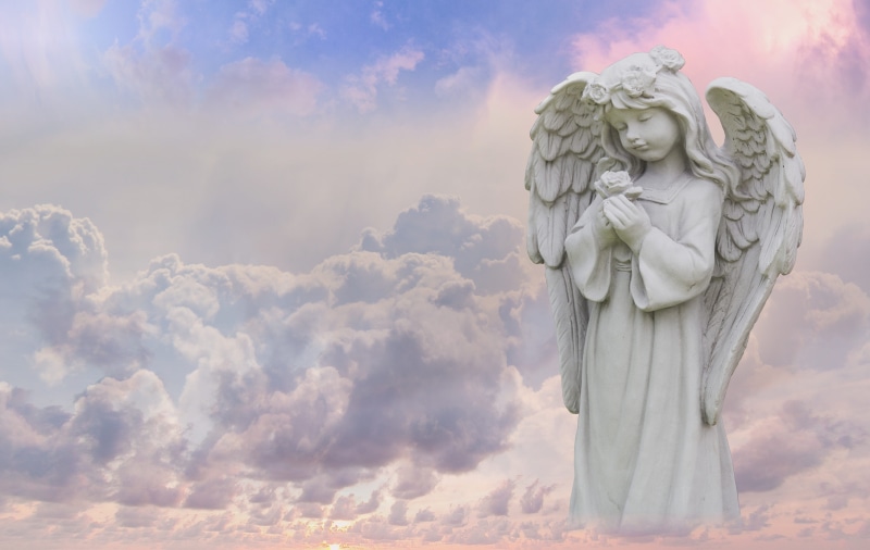 wing, animal wing, composing, protect, white, faith, human representation, angel, heavenly, sculpture, pray, representation, outdoors, christian, 5K, fantasy