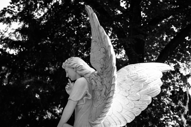 heavenly, park, stone figure, transience, representation, sad, gray, human representation, concrete, animal wing, artwork, low angle view, religion, creativity