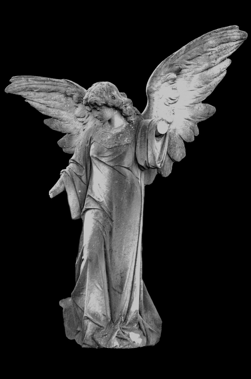 grave, flower head, isolated, 1080P, angel, black And White, adult, craft, human representation, christian, marble, belief, sculpture, peace, indoors