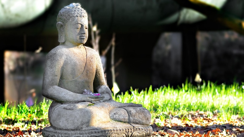 animals, statue, 1080P, gautama, profound, meditation, buddha