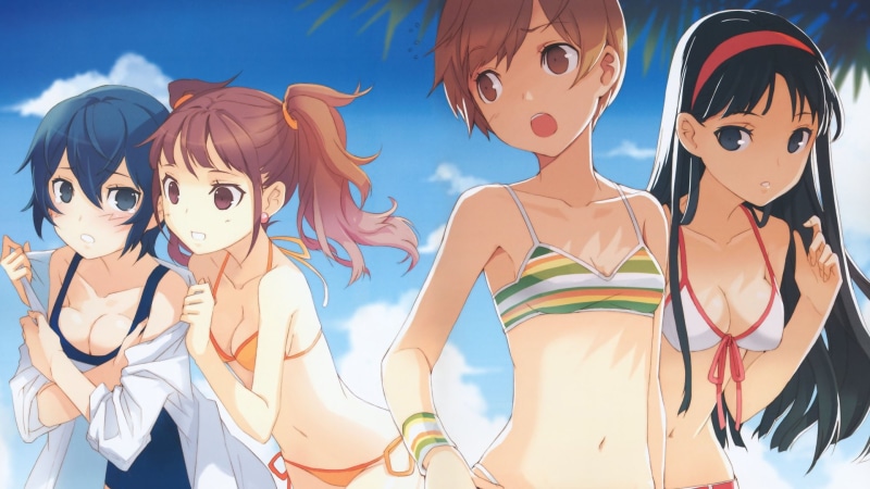 Naoto Shirogane, Video Game, Persona 4, Persona, Anime, 1080P, Chie Satonaka, Rise Kujikawa, Yukiko Amagi