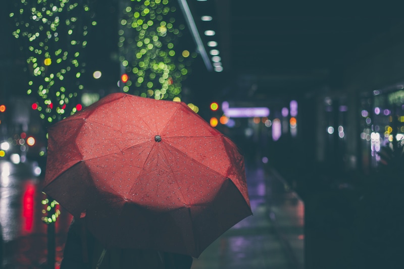 nature, dark, plant, street, red, night, one person, walking, using, tree, person, security, nighttime, wet, city, lights, umbrella, protection, outdoors