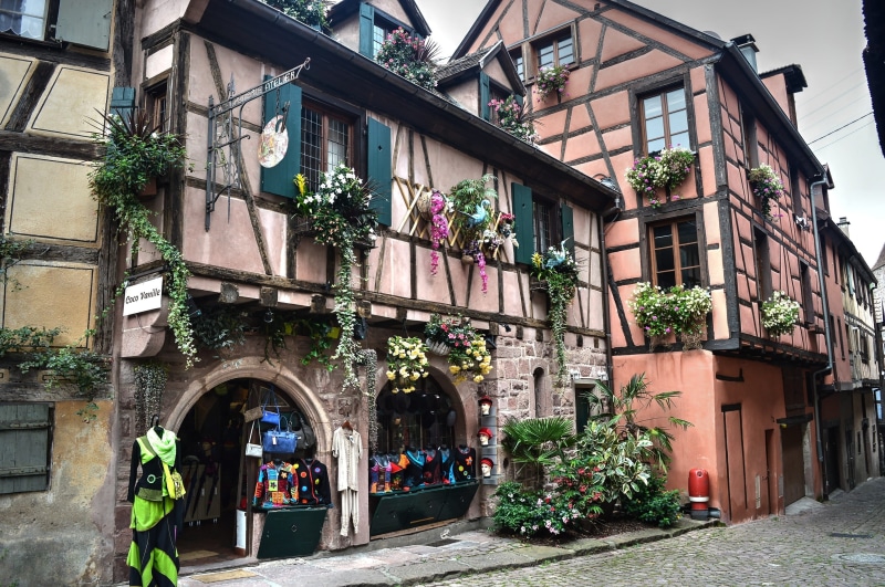 flower, alley, residential district, flower pot, day, door, europe, urban Scene, street, Half-Timbered House, town, Shop, wall, architecture, no people