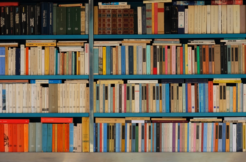 book, learning, 5K, title, large group of objects, secondhand, hardcover book, street, order, literature, indoors, bookstore, interior design, close-up