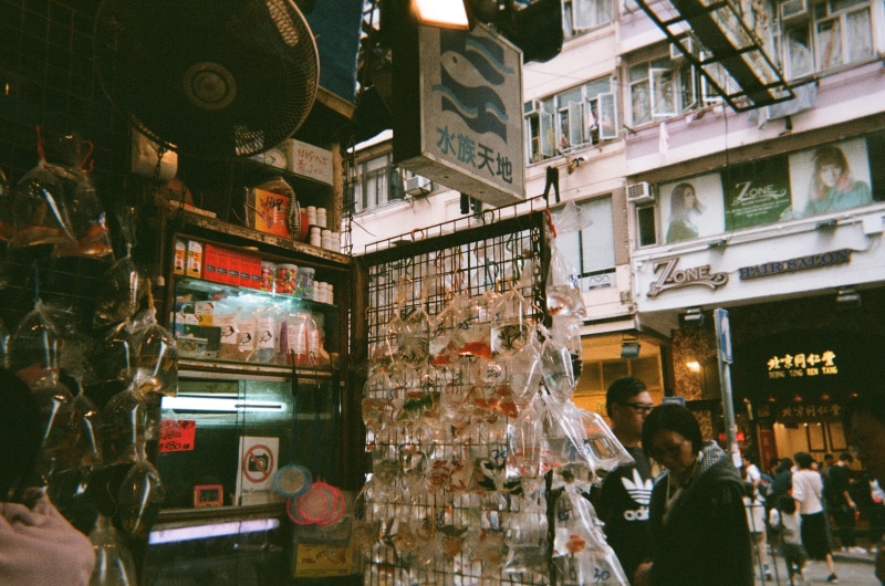 human, architecture, kiosk, shelf, woman, symbol, grocery store, building exterior, men, hong kong, standing, store, choice, market, shop, women, goldfish street