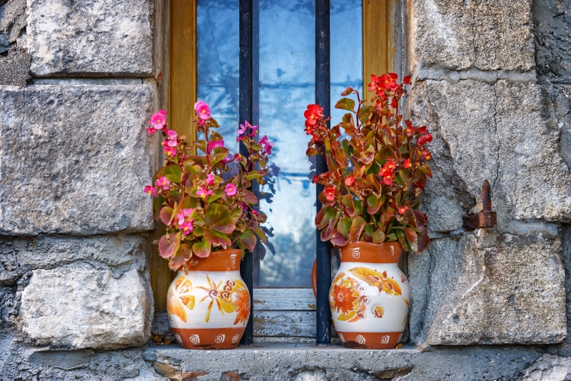 flowers, nature, colorful, two, window, fragility, flower pot, country life, building exterior, built structure, flower vase, deco, no people, wall - building feature
