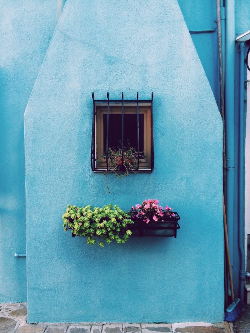 frame, building exterior, day, planter box, building, flower, built structure, wall, pink, mounted, green, blue, floating, blue wall, grill, plants, house