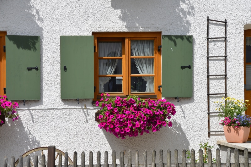 flowers, residential district, shutter, flower, growth, day, brown, bavarian, wall - building feature, plant, built structure, house, 5K, wooden, window flower