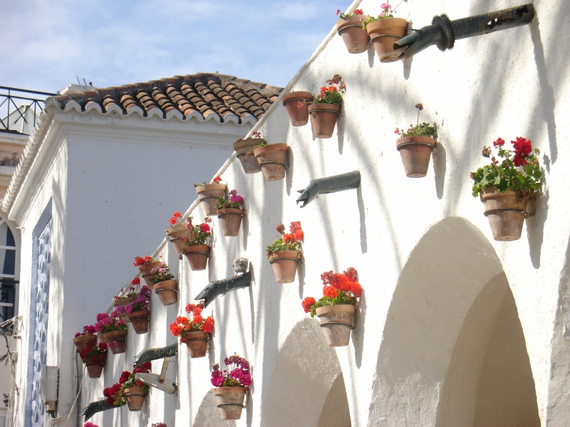 growth, wall, building exterior, freshness, Pots, europe, Arcade, colors, Flowers, residential building, shadow, roof, flowering plant, red, plant, architecture